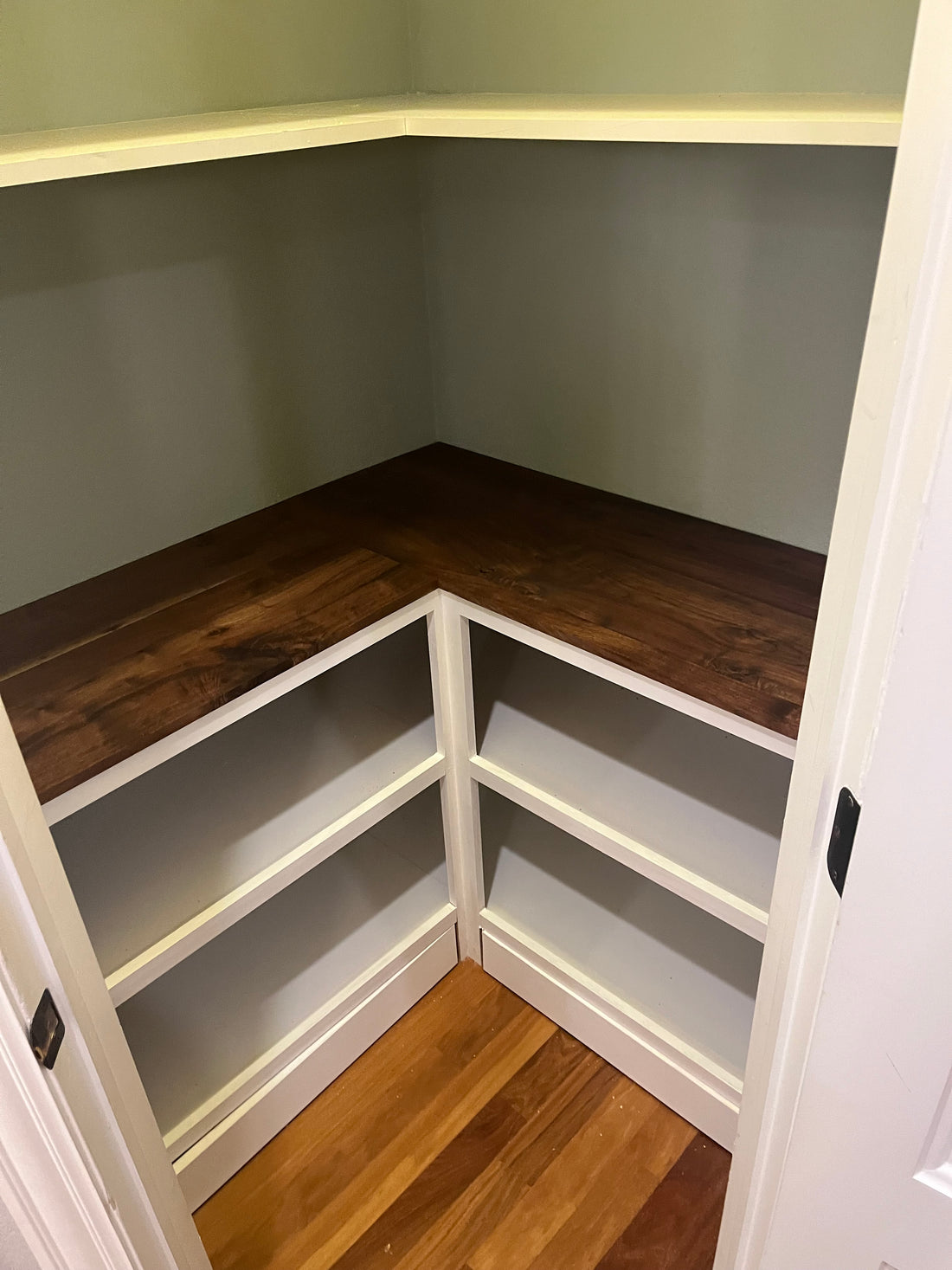 Pantry Renovation